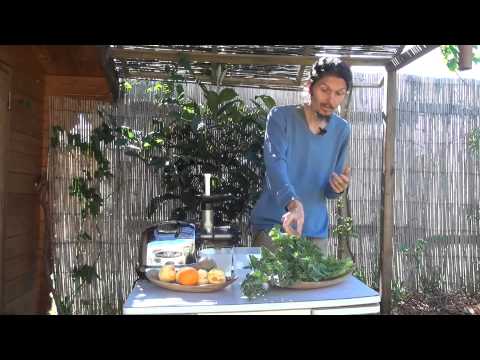 comment nettoyer epinards frais