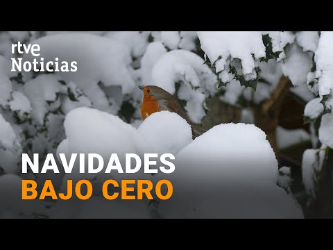 CATALUÑA y otras CINCO COMUNIDADES, en ALERTA NARANJA por FRÍO, LLUVIA y NIEVE | RTVE