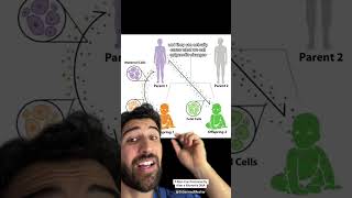 A Man Can Permanently Alter a Woman’s DNA #science