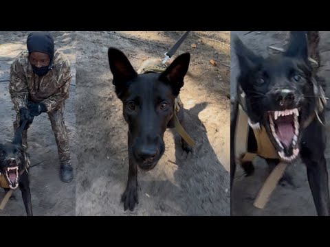 Gettin Bit By K-9 With Columbia, SC Rapper Dirty Money Sonny