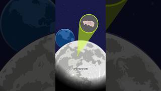 How Tardigrades Landed on the Moon