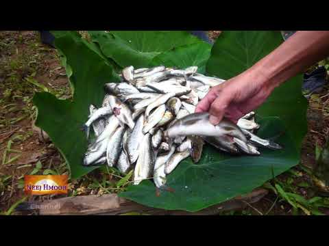 Npeev Ncig Teb Chaws 2021 Ep.118