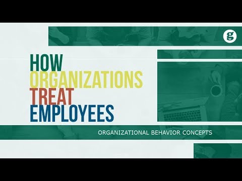 What is Organizational Behavior