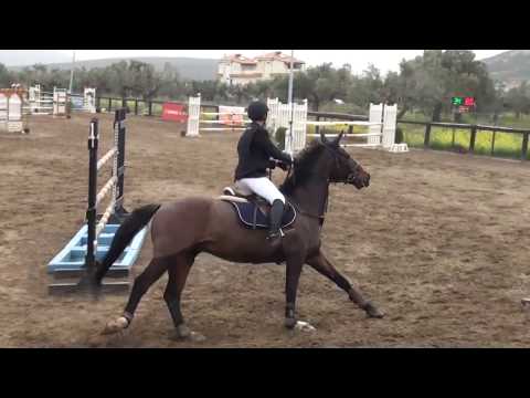 Sotiris Antonopoulos + By Chance, 2nd GP@IOKAL St.George, 4-3-2018, Katigoria:1.10m