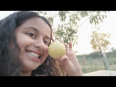 Fun in Garden | Cherry & Samanyu |