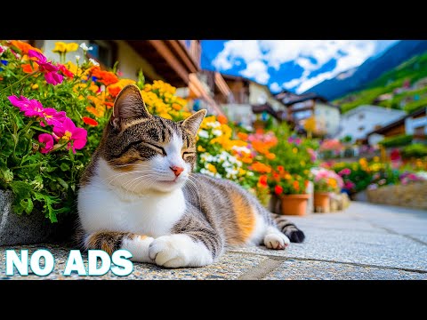 12 Hours of Soothing Music for Cats with Separation Anxiety 🐱 Relaxing Sounds to Calm Stressed Cats