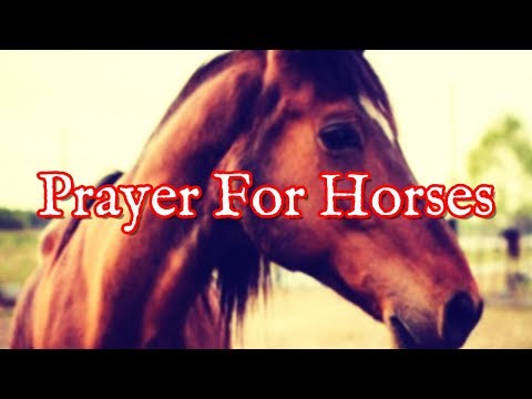 Prayer For Horse | Prayers To Lift Up Horses (Well Being, Blessings) Video