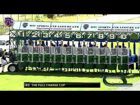 RM1 R3 | Memphis Mafia | P.C.Orffer