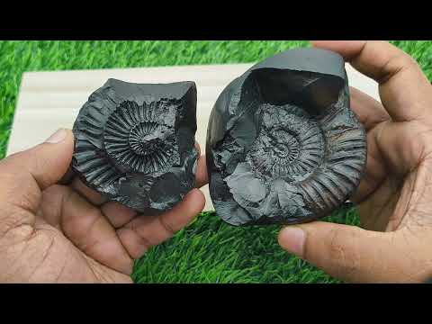 Adi Shesha Serpent Posture Padmanabhaswamy Vishnu Shaligram video