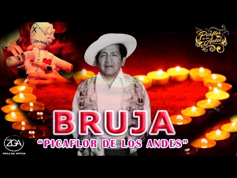 Picaflor de los Andes - BRUJA