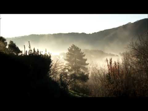 esterina - Come satura - teaser