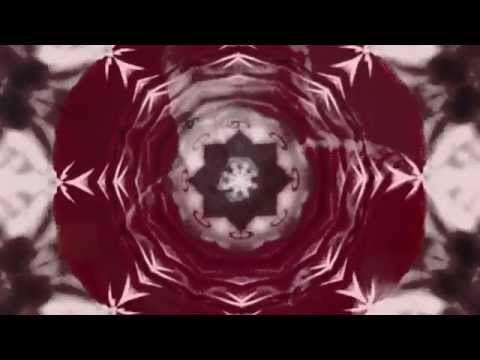 Kung Fu Junkie - Didxans Gelodi