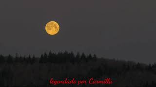 Theatres des Vampires  - Moonlight Waltz (legen inglês/port)