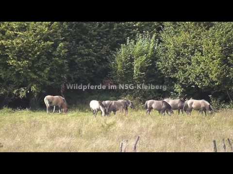 Kleine Radtour - Vom Haarstrang bei Soest  zum Möhnesee - Teil 1