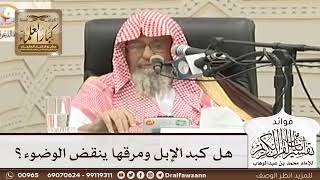 [75] هل كبد الإبل ومرقها ينقض الوضوء؟ - صالح الفوزان