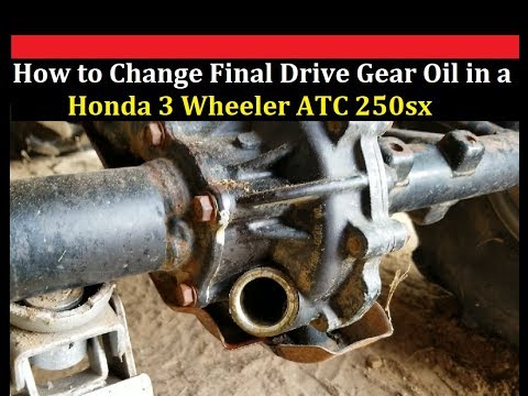 How to Change Final Drive Gear Oil Honda 3 Wheeler ATC 250sx