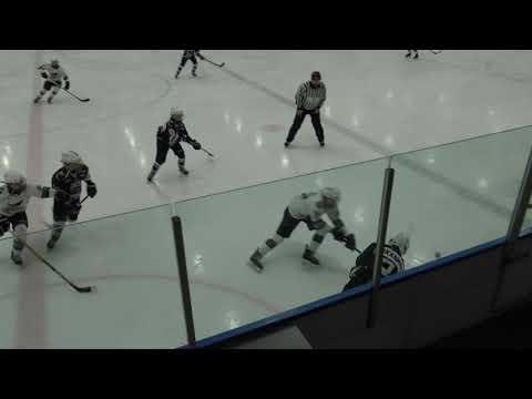 -08/U14 AAA TPS kaitsut - Kiekkohait HD 2022.2.12