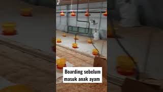 Download lagu Reban ayam close house malaysia mp3 Download lagu Reban ayam close house malaysia mp3