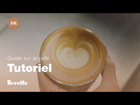 miniature vidéo