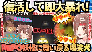 【フブちゃ〜ん助けて〜！】REPO妖怪に舞い戻ったREPO大好きころねがレベル1から大騒ぎ！脅威のレベル20で爆笑絶叫を繰り広げた後まさかのムカデ人間で盛り上がる深夜の突発ホロまとめ【戌神ころね】