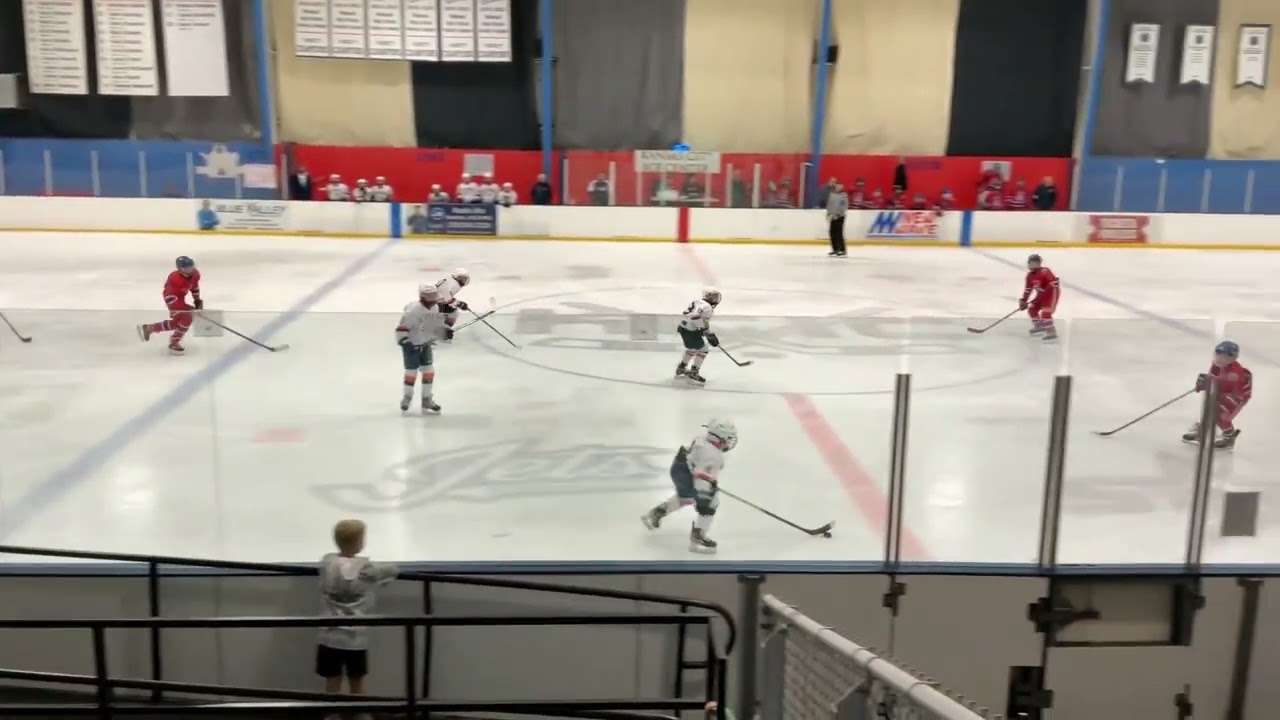 Game 29 Tied 1-1: Lionel scores unassisted PPG