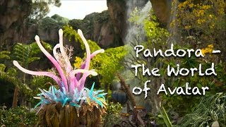 Pandora – The World of Avatar - Beauty Footage of Land & Ride
