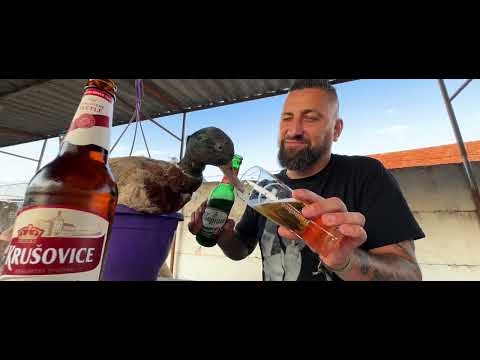 Holczy - Veletek lógok