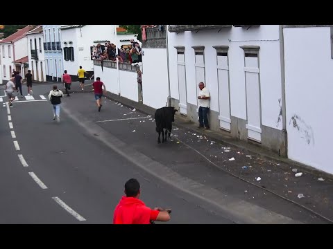 Tourada Biscoitos - Touros ER - (450,460,396,451) - 16/9/2024 - Ilha Terceira - Açores