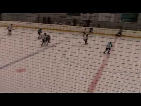 Pelicans 05 C2 - JYP 05 C2