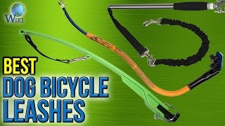 7 Best Dog Bicycle Leashes 2017