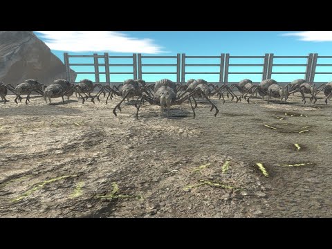 Saber-Toothed Spider VS All Factions (Similiar Price) - Animal Revolt Battle Simulator