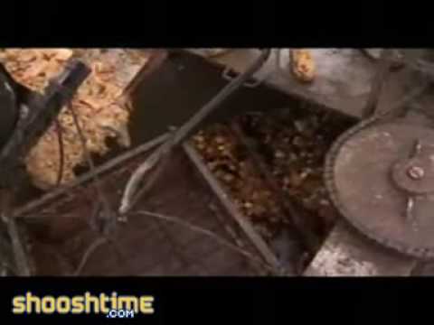 Almost too good to be true