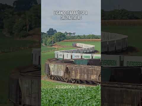 Antes da República: A Ferrovia que Receberia Terras do Império