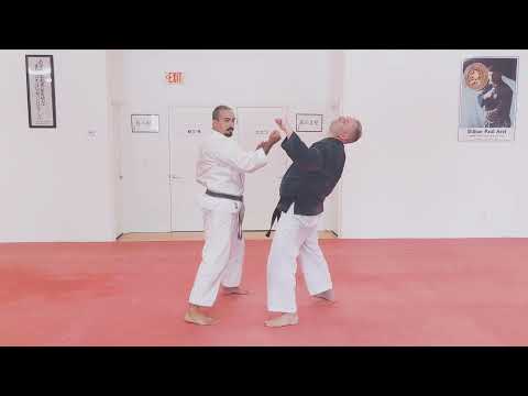 Jujitsu & Karate Atemi Waza • Mawashi to Uraken Shomen Uchi