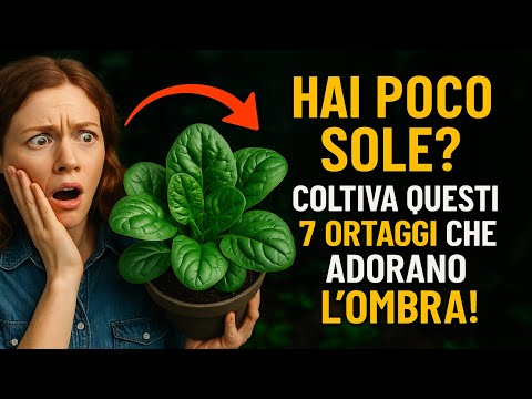 Hai poco sole? Coltiva questi 7 ortaggi che adorano lombra!