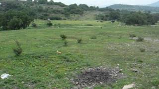 preview picture of video 'Venta Terreno Rancho Parajes en Tepeji del Rio de Ocampo Hidalgo'