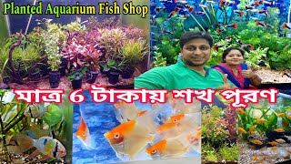 মাত্র 6 টাকায় শখ পূরণ করুন | Aquarium Fish Shop |Fish Pet Shop Near Me | Fresh Fish Shop Near Me