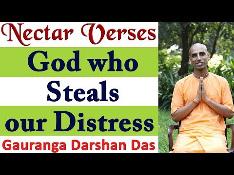 God who Steals our Distress | Nectar Verses (SB 4.30.24) | Gauranga Darshan Das