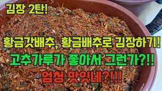 농사의 여신 김장하는 날~!! 고추가루가 맛있으니 김장도 잘되네요^^ 고추, 배추 농사 마무리~~!!!(((…