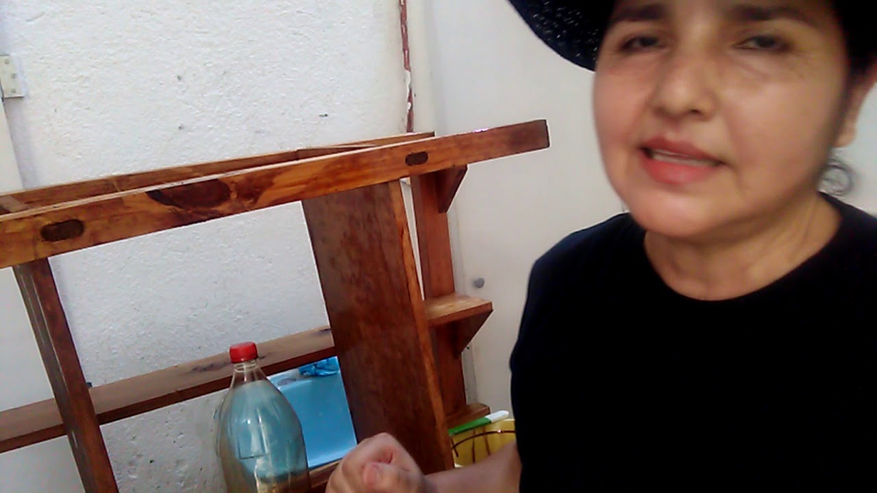 como ELIMINAR la POLILLA en todo tipo de MADERA