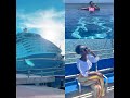 Life Onboard The Disney Fantasy