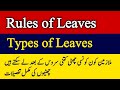 Rules Of Leaves L Types Of Leaves L Casual Leave L Earned Leave L Study Leave L LPR Leaves L