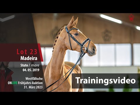ONLIVE Frühjahrs-Auktion Training Lot 23 Madeira Stute v. Maracaná - De Niro