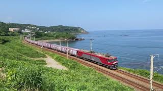 Long freight trains in Japan