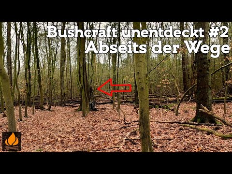 Abseits der Wege - mit dem Wald verschmelzen