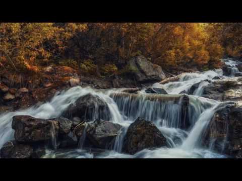 Omar Otar - Oy Mardja