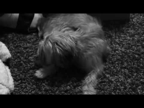 ***BRAND NEW*** S'MOREZ 'DISCUSSED' MUSIC VIDEO!!! VERY REAL EMOTION!! COLLECT!!