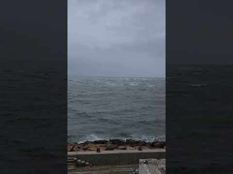 #shortvideos #youtubeshorts #tiktok #trandingshorts #viral #shorts #trending