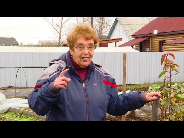 Академия на грядках 21 октября 2020