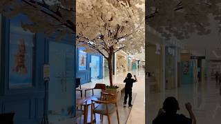 Download lagu There are cherry blossoms #funny #japan #sakura #ekmotahathighumechala mp3